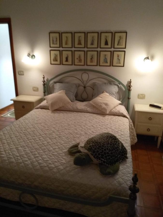Casa Di Nonna Cate Apartment Montepulciano Ngoại thất bức ảnh
